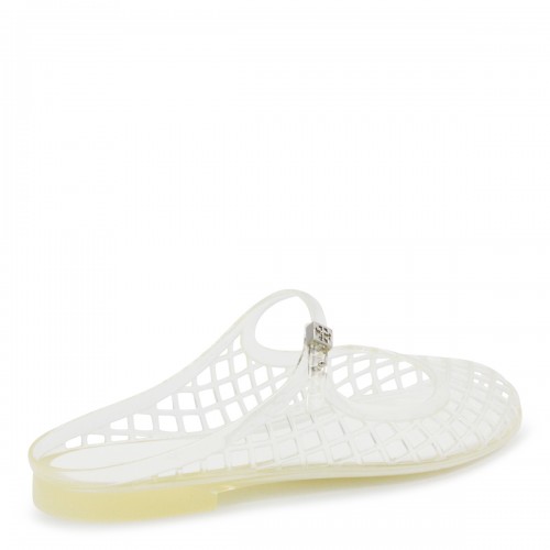 CLEAR AND SILVER FLATS