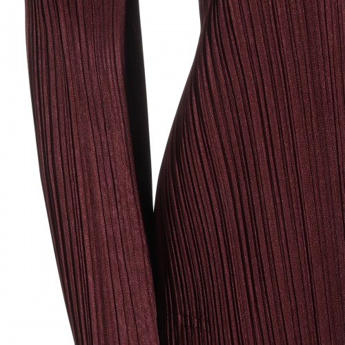BORDEAUX PLEATED DRESS