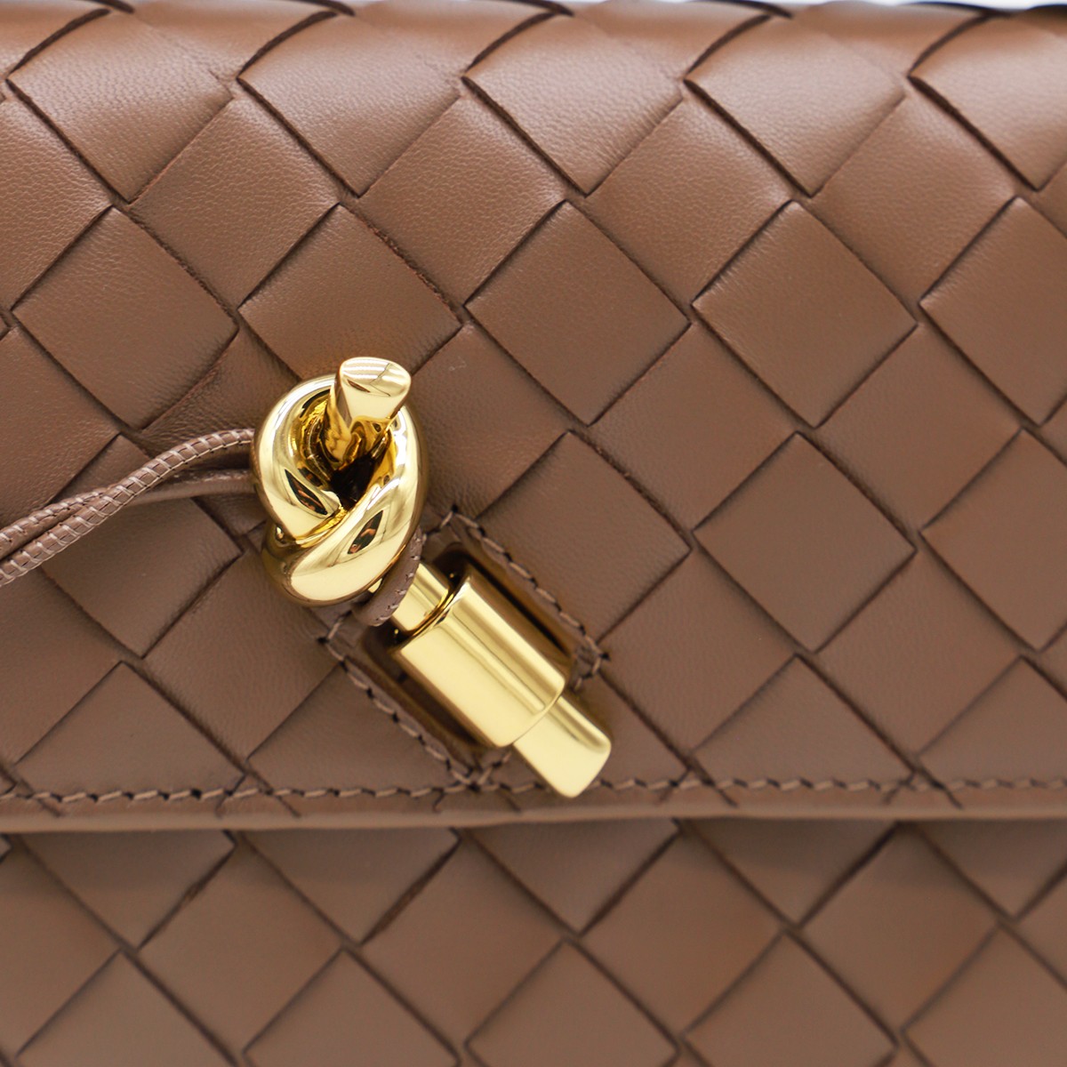 PINECONE LEATHER ANDIAMO BAG