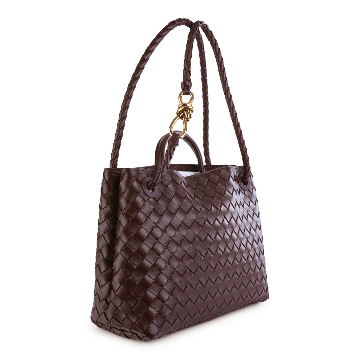 DARK BAROLO LEATHER ANDIAMO BAG